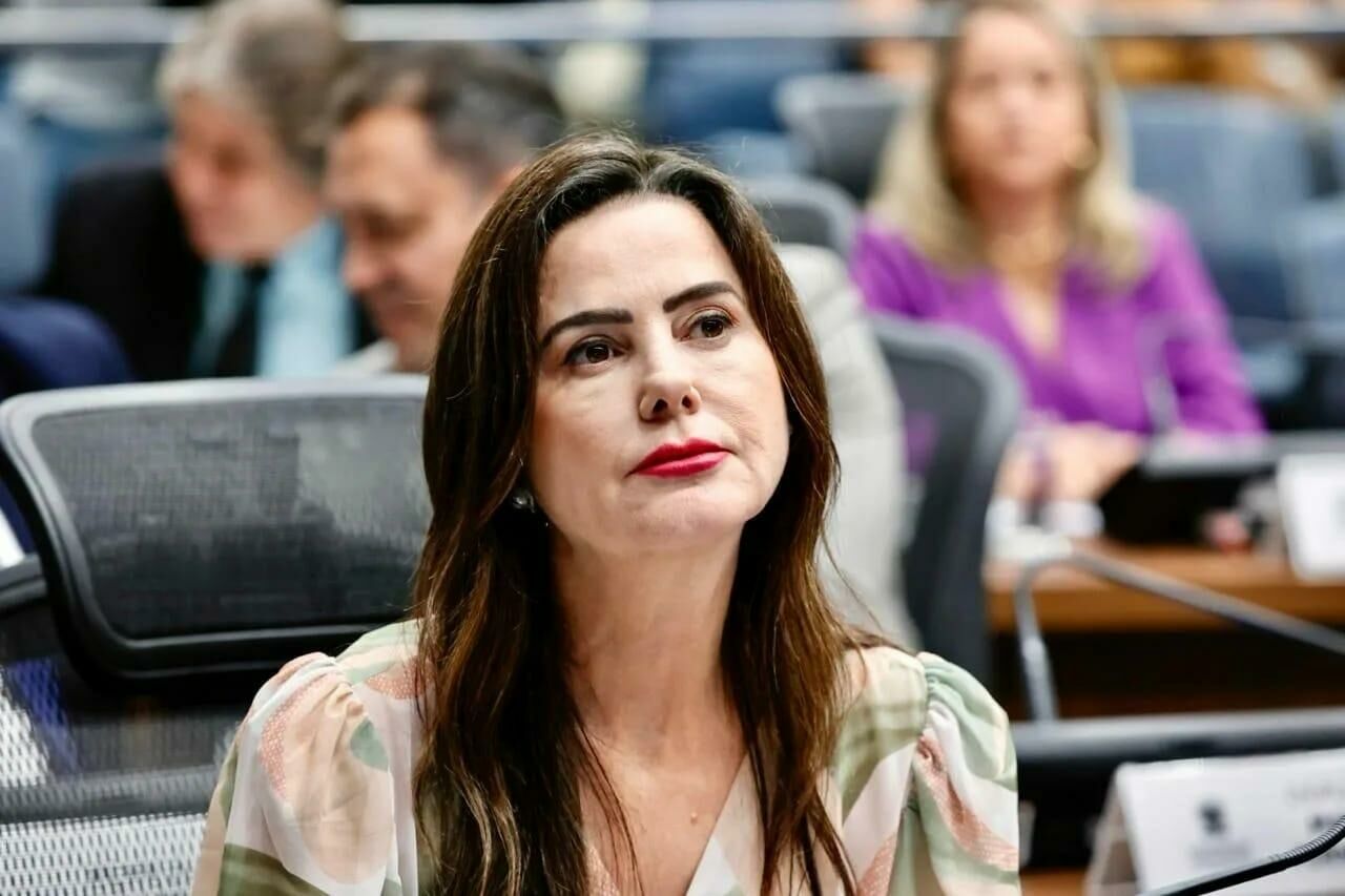 Imagem de compartilhamento para o artigo Deputada solicita troca de ponte sobre o Rio Salobra em MS da MS Todo dia